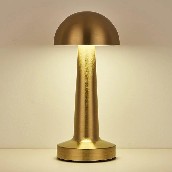 61cEdmOpcRL._AC_SX679_